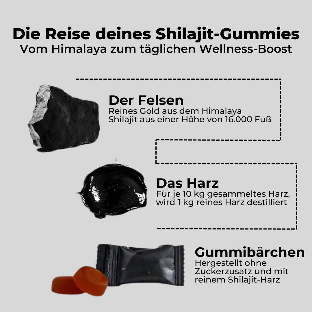 Himalayan Shilajit Gold Gummies - Sourvita