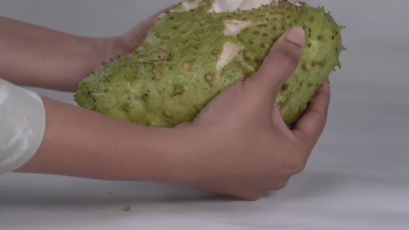 Eine Soursop Frucht wird zerteilt
